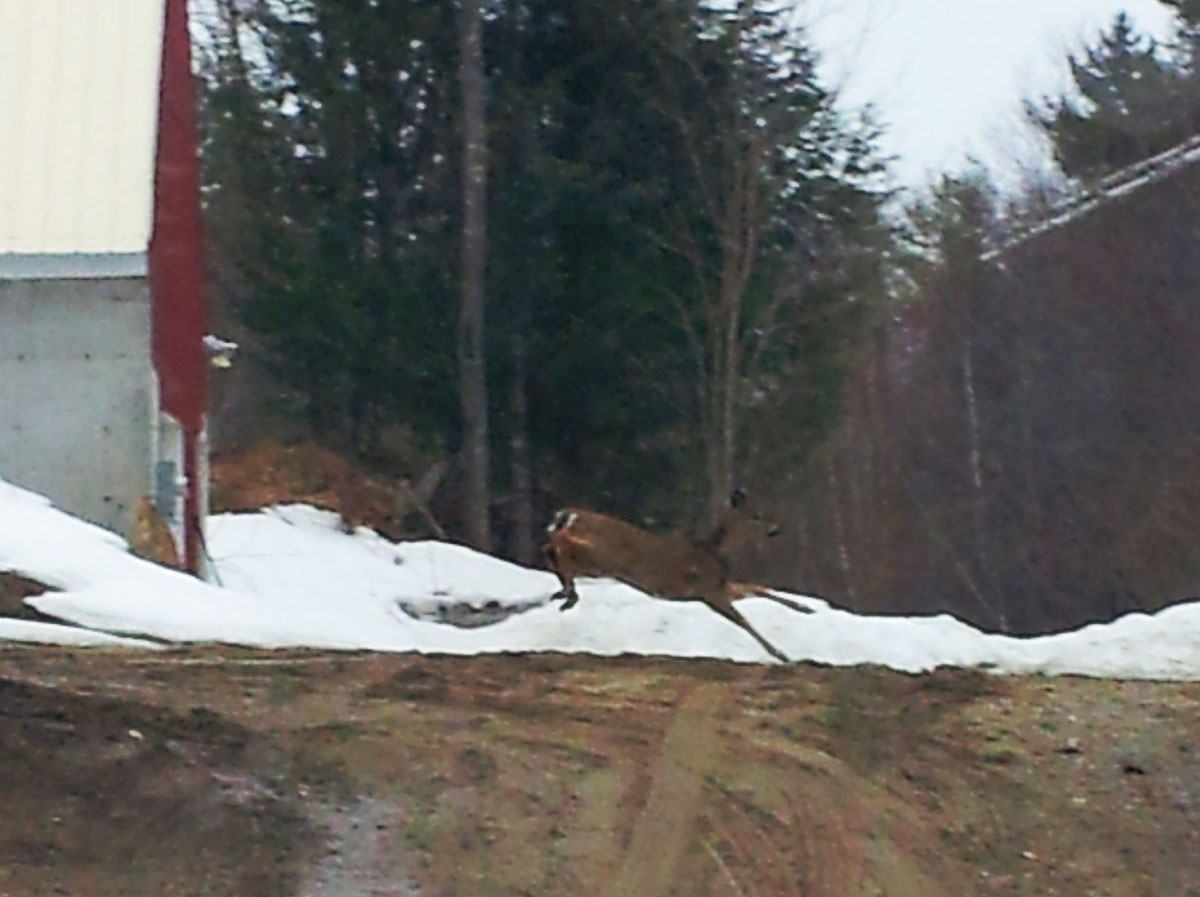 Photo By Mark Rodier.