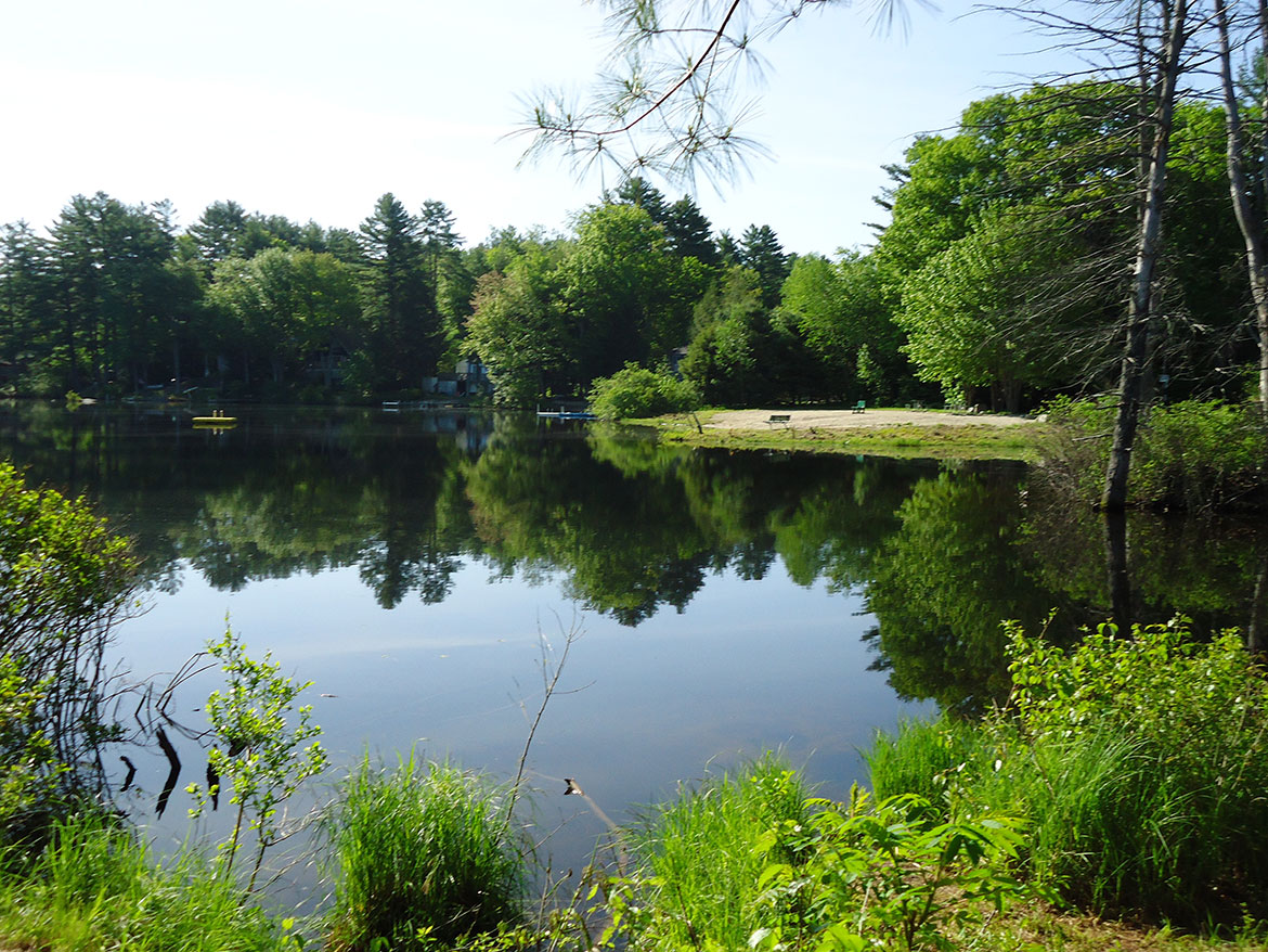 Photo By Wayne Held.