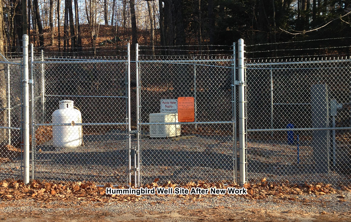 ELVD Hummingbird Well After.