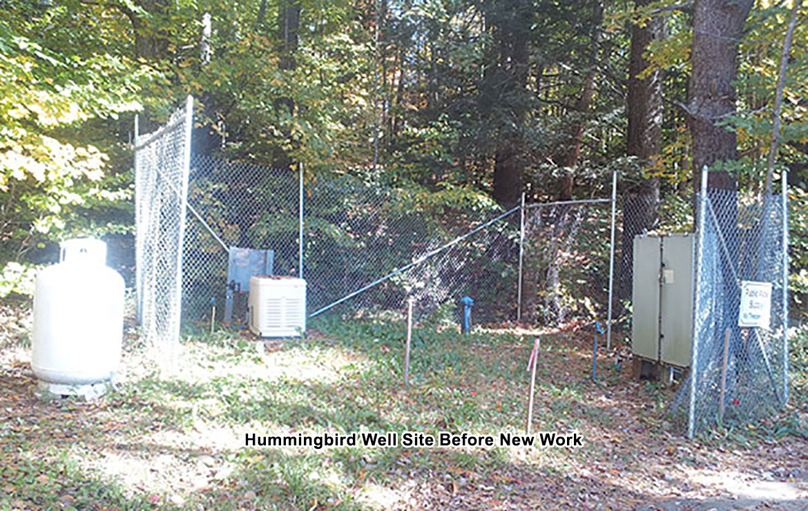 ELVD Hummingbird Well Before.